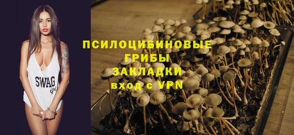 mdpv Вяземский
