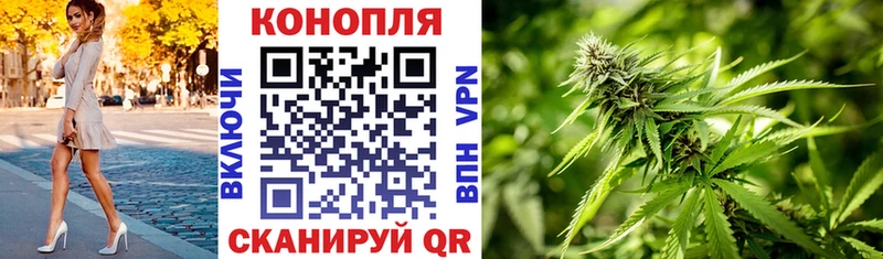 Конопля семена  Купить  Харабали 